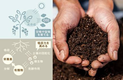 1 拘り抜いた土のイメージ