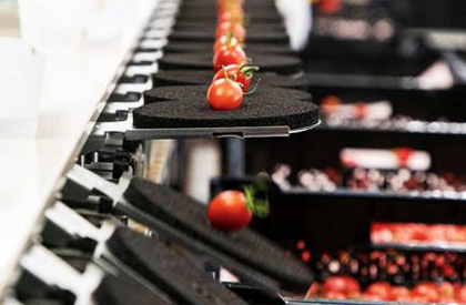 5 徹底した品質管理のイメージ